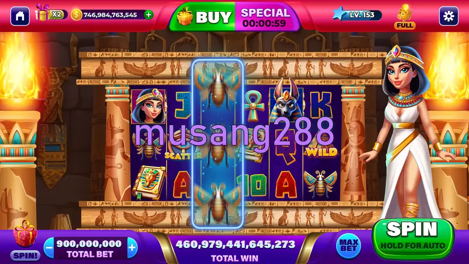 musang288 Masuk